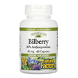 Bilberry Natural Factors, 40 mg, 60 Capsules - Natural Factors